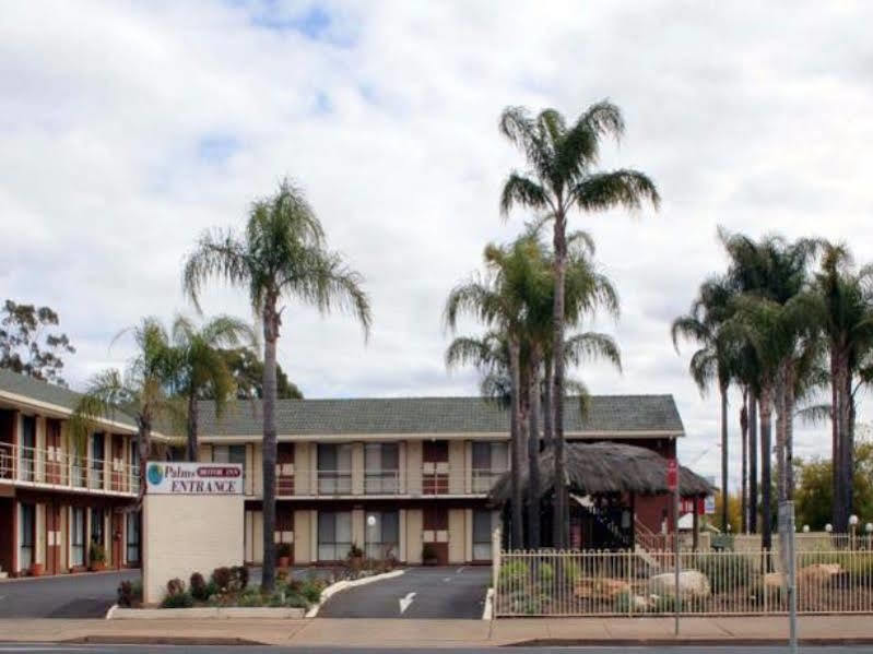 The Palms Dubbo Motel Eksteriør billede